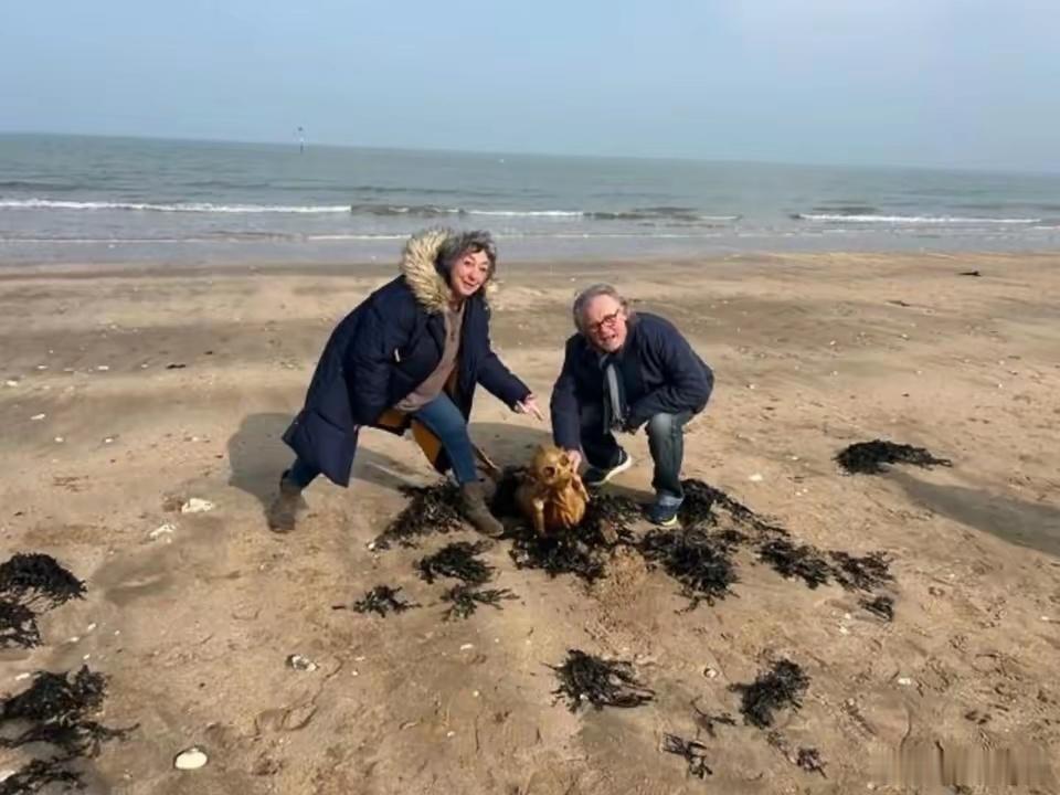 英国有对夫妇发帖说，她俩在海滩发现一副奇特的生物遗骸。这副遗骸长1.5米，被形容