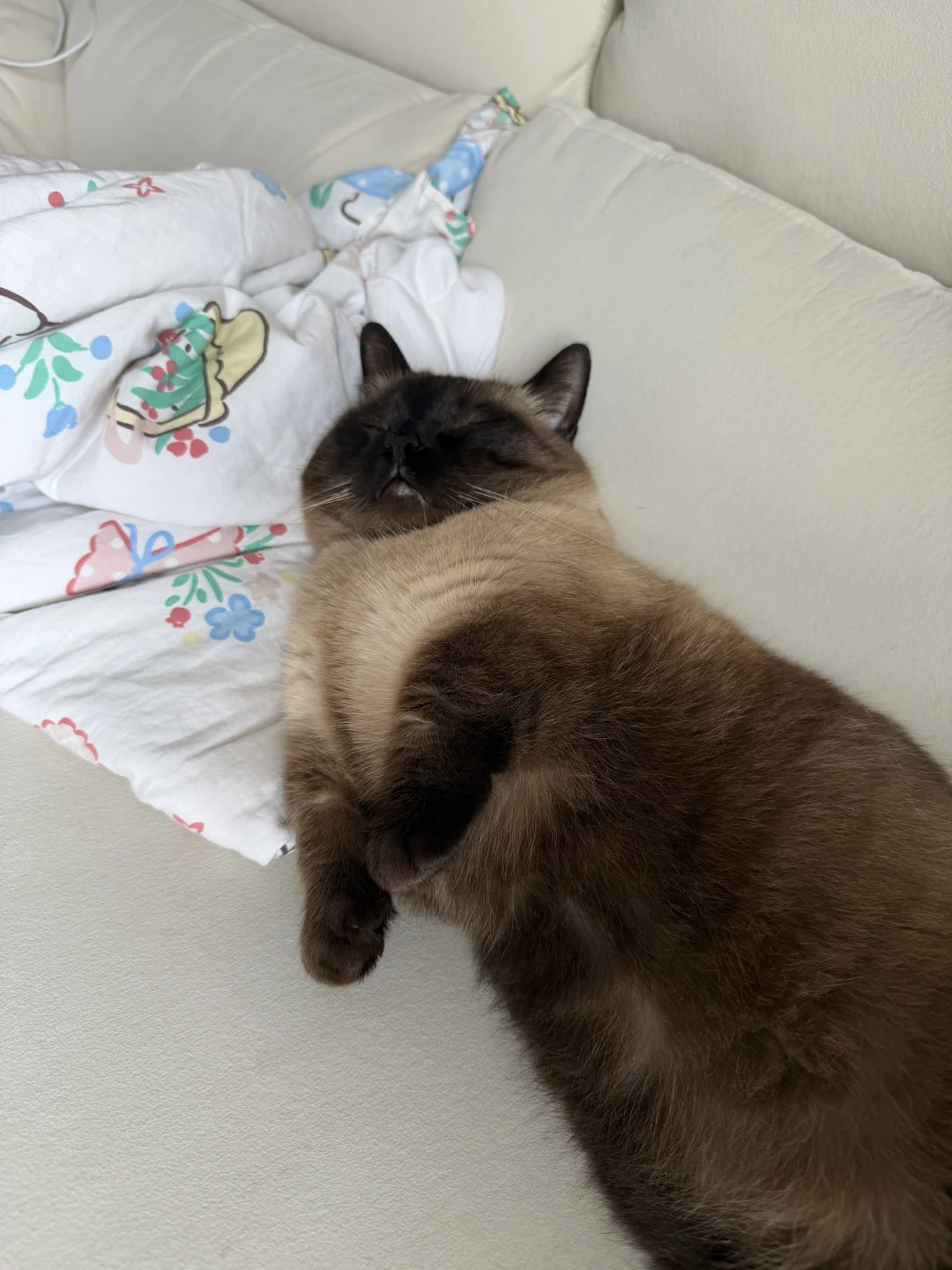 乖宝宝就是麻玩游戏也要睡着陪