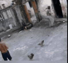 看了这个视频，让人寒心

这是一户人家，大娘在进屋时，不慎摔倒，趴在地上站不起来