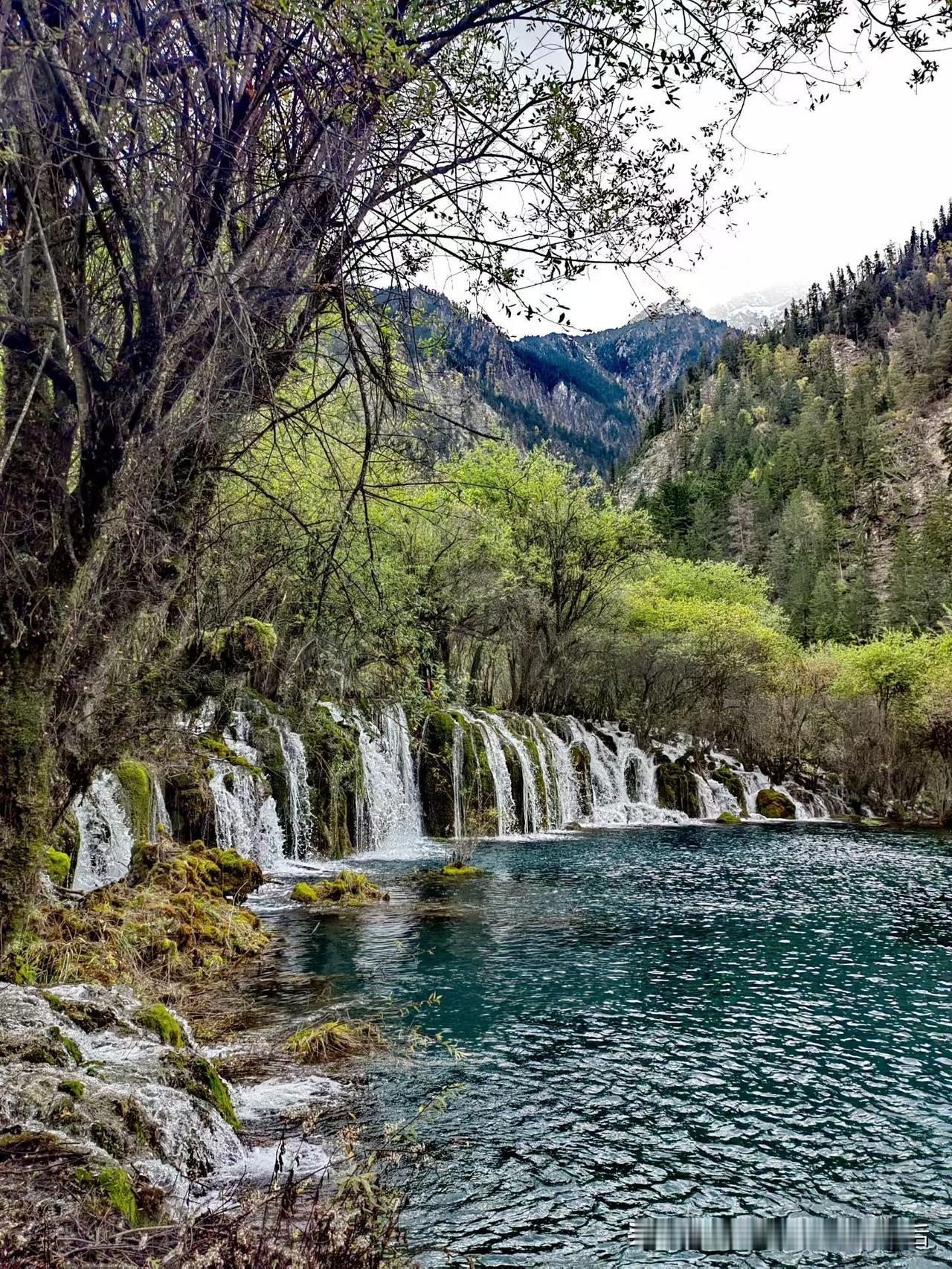 家乡的山水如诗如画，每一帧都是大自然的馈赠。