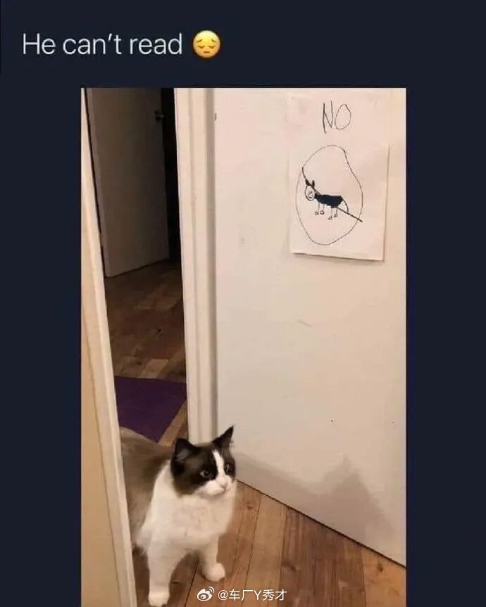 汽车上用料扎不扎实真不是看重量，说实话，我原来在车企的时候，是见识过不少通过减少