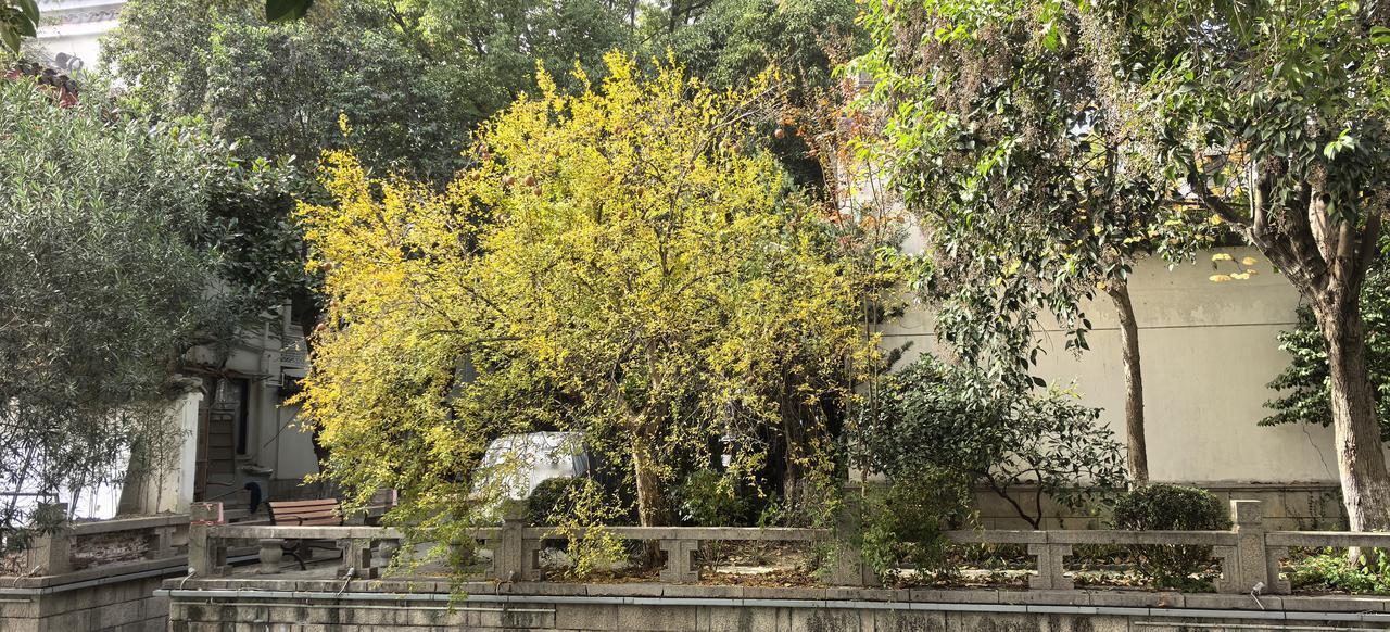 冬日生活打卡季冬日的江南如同撑着一把油纸伞的姑娘，袅袅婷婷的向你走来，如同一副水