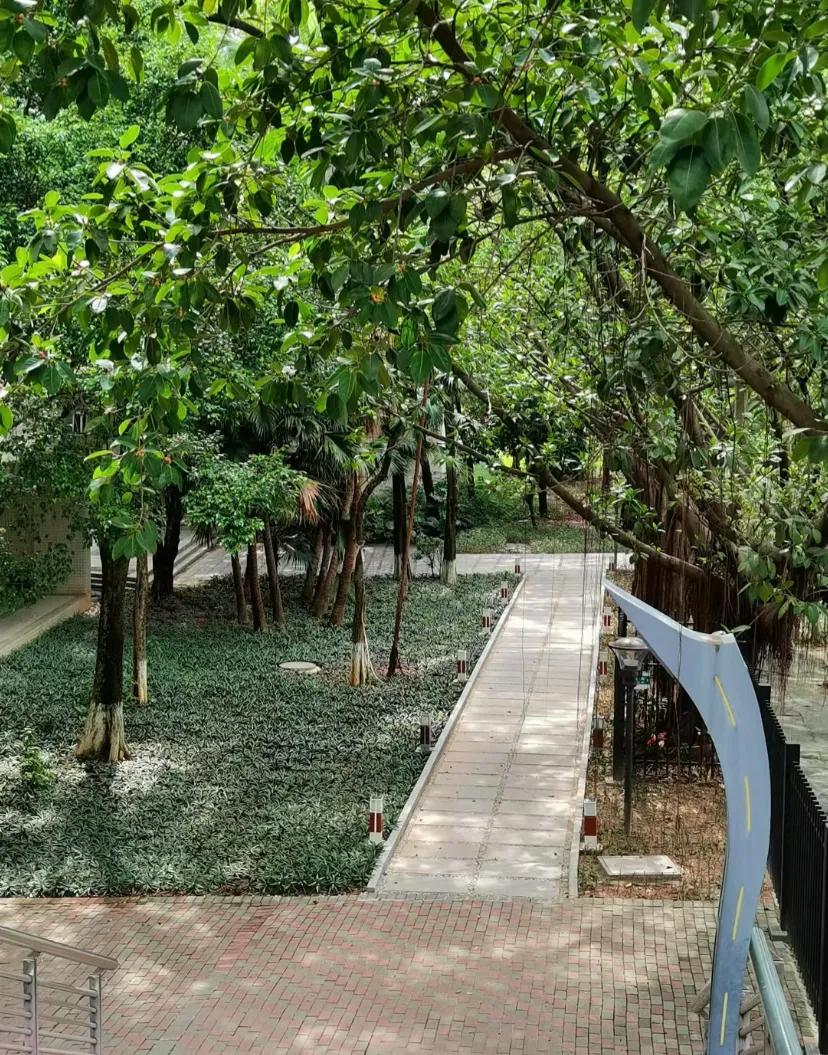 有没有感觉广州今年入秋好快
才八月，这几天早上的风已经凉嗖嗖，有秋天的感觉了，好