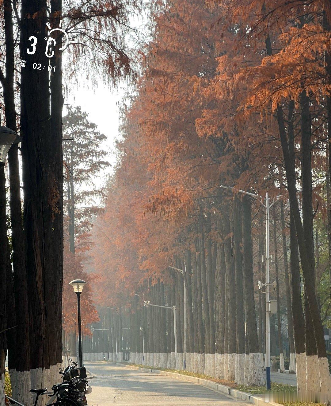 生活手记        连续阴雨天，太阳终于上班了……      