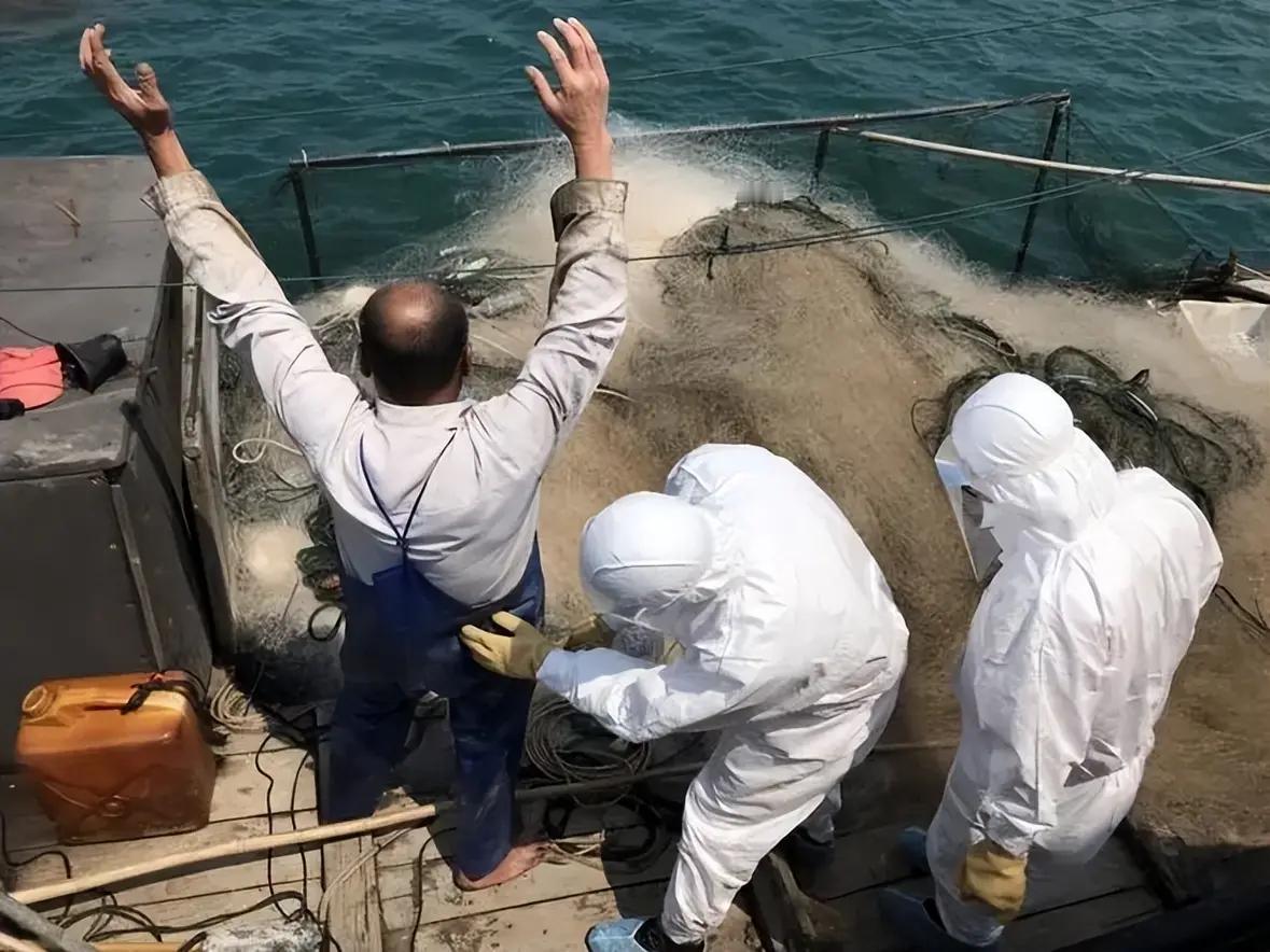 针对美国前常驻联合国代表妮基·黑利关于“美在霍尔木兹海峡扣押中国开往伊朗的导弹原