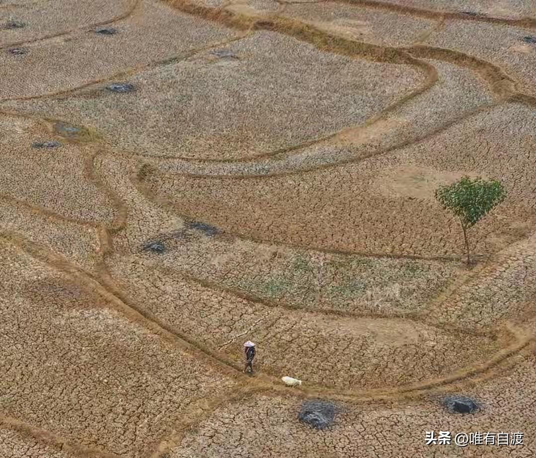 科学家预估：超级厄尔尼诺会导致未来半年，将有45万人因高温死亡！
也许这不是危言