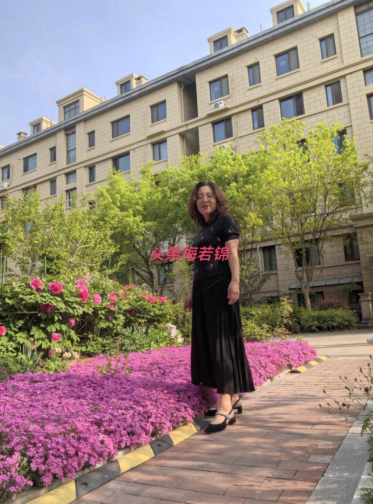 上午看郁金香，下午惦记着邻居的牡丹。最是一年春好处，繁花若梦满心头。