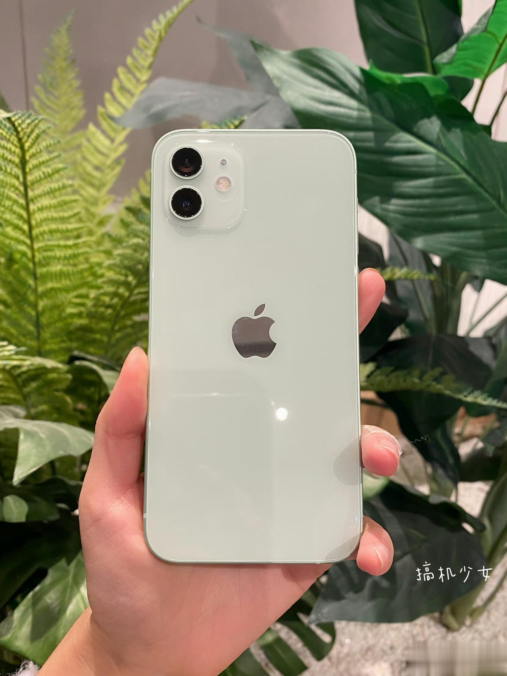 iPhone12的绿色就很好看，当时印象很深刻，你最喜欢苹果曾经出过的哪个配色？