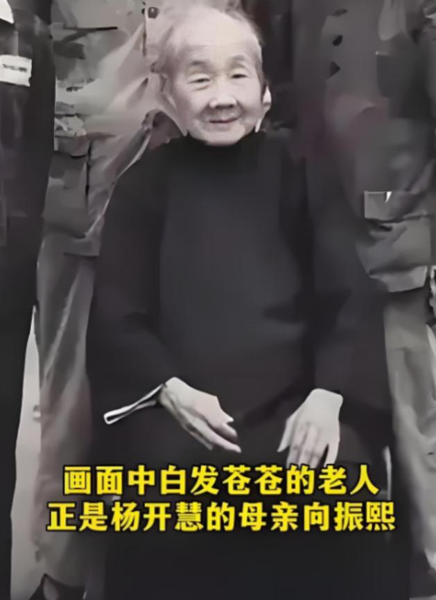 解放后，杨开慧的母亲向振熙老人跪地痛哭，她哭的不是逝去的女儿，而是替那个隐忍二十