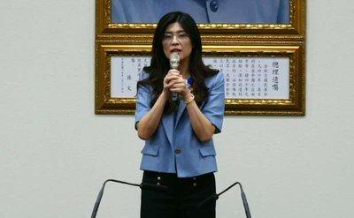 郑丽文所乘班机缓缓降落在台湾桃园机场，舱门打开的一刻，机场外早已分成两拨阵营的人