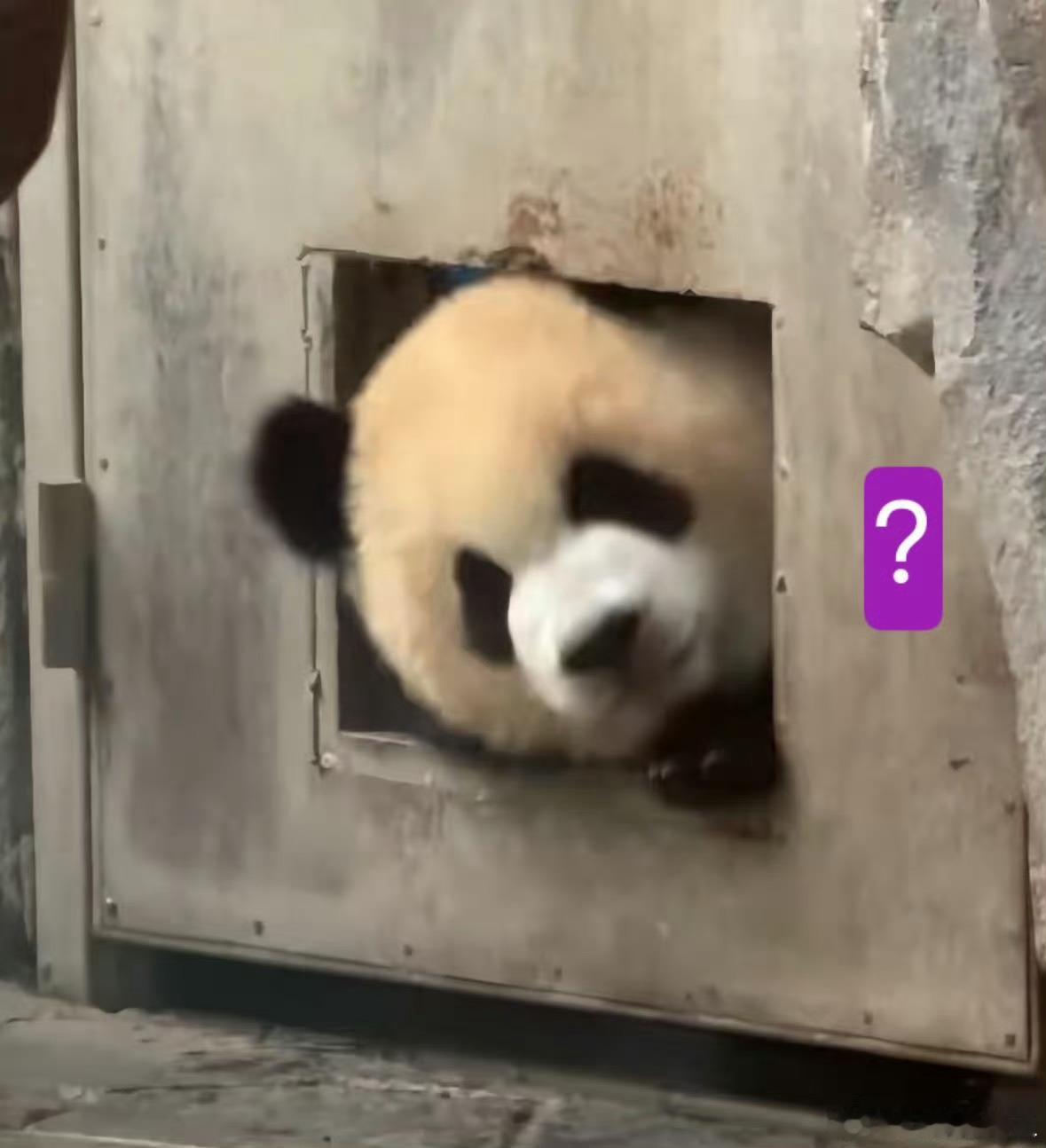 曝沈月文章抄袭演员沈月被网友指控早年一篇署名文章与漫画家夏达2011年插画集《初
