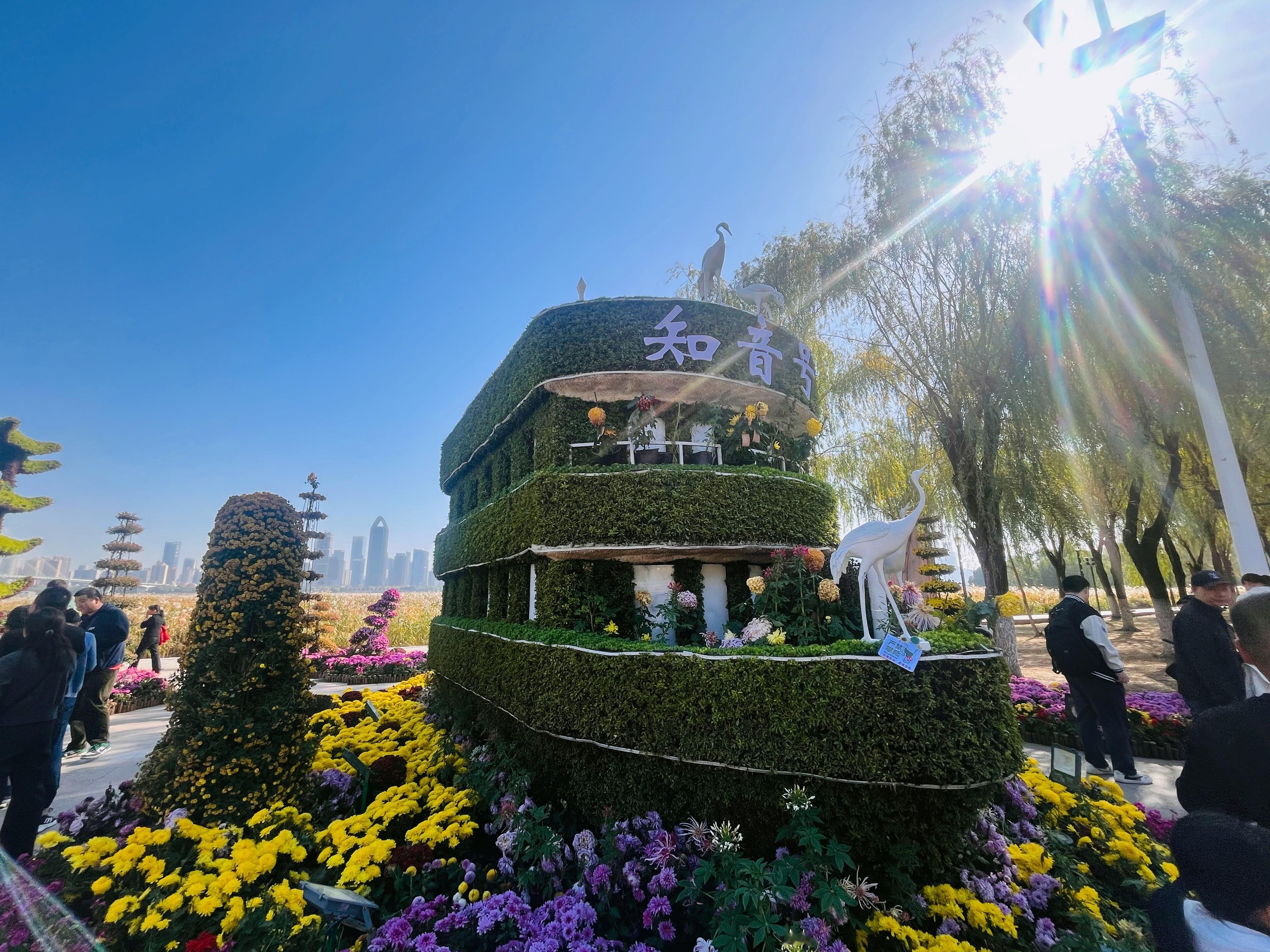 武汉东湖已进入秋日油画模式武汉的菊花展已经到了一个新的高度！ 