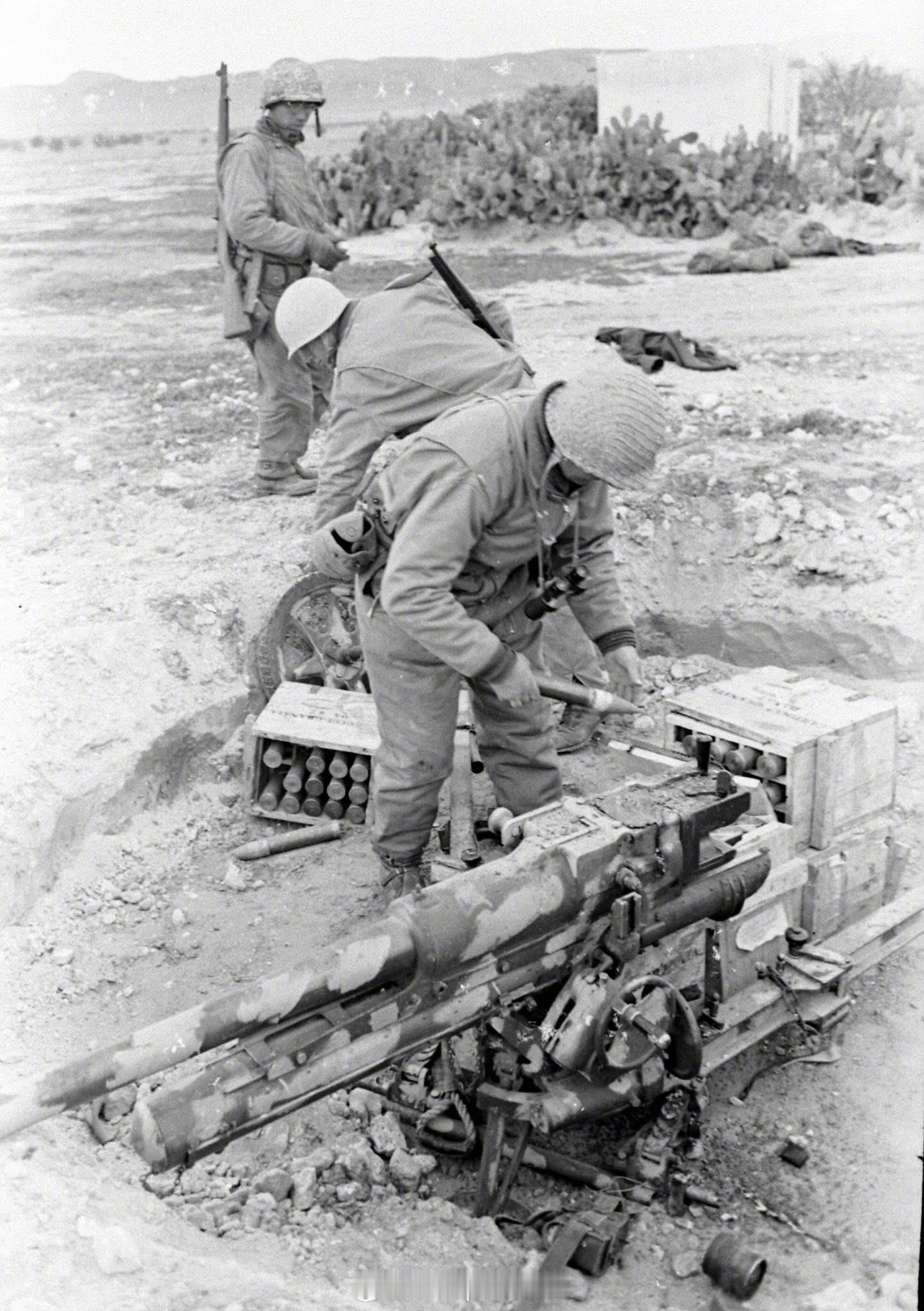 烽火问鼎计划照片中的历史 1943年初，突尼斯，美国士兵正在查看一门隐蔽部署的意