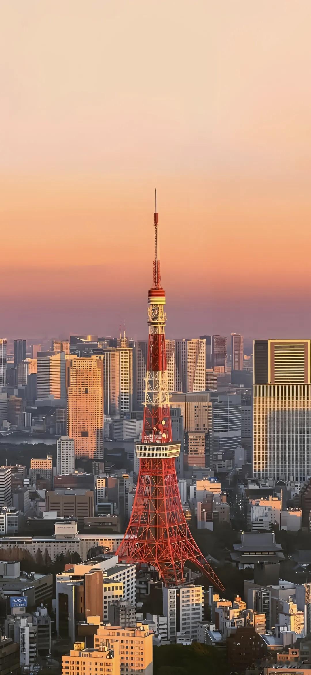 成年人的世界里，孤独从不是例外，而是藏在日常褶皱里的常态。不必逼自己合群，不用勉