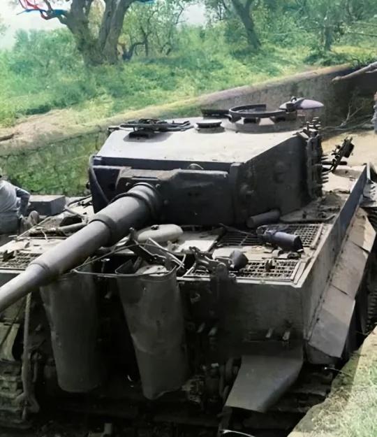 各种被击毁的虎式