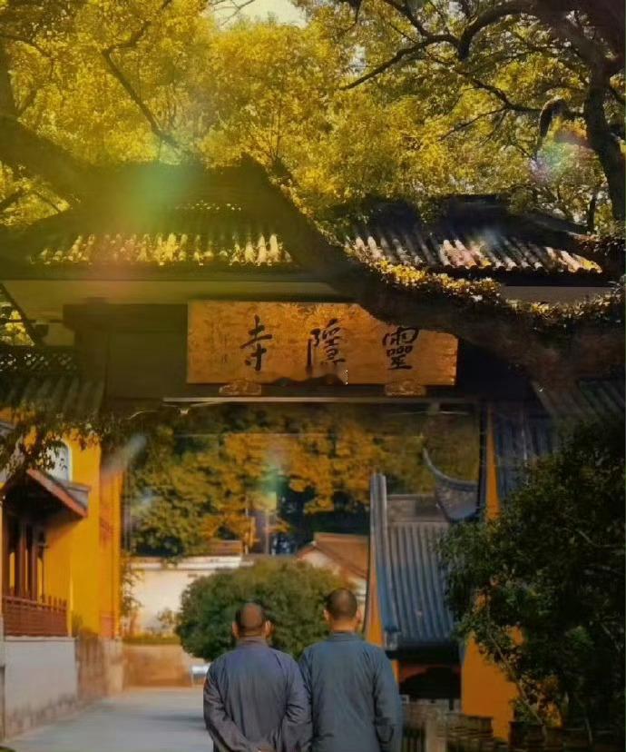 灵隐寺磁场真的很强！别滑走说什么都灵🙏 