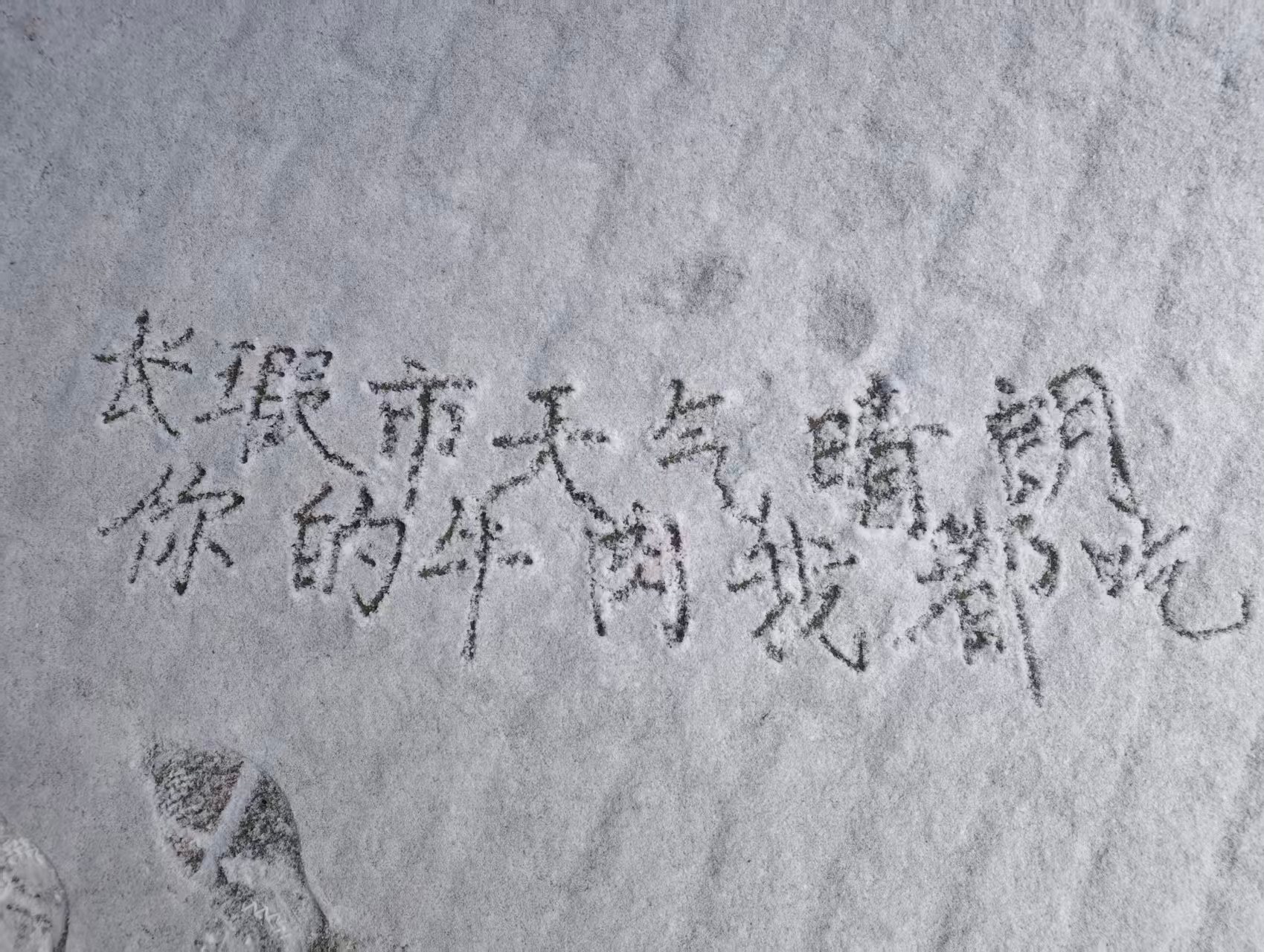 ❄️肠狭湿天气晴朗，你的牛肉我都吃☃️💚牛贺组给草地牛约的雪地写字来啦！ 