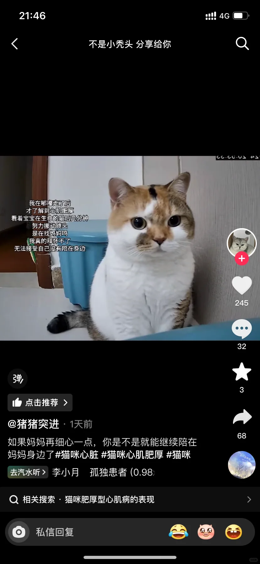我无语了，造谣我家猪咪去世