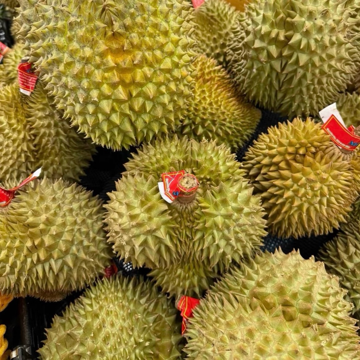 榴莲的种植方法一、选种与育苗选择果肉饱满、成熟度高的榴莲种子，洗净后浸泡清水1-