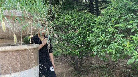 骗子再高明，其实用的都只有一个伎俩，那就是：编造辉煌的过去，并许诺你精彩的未来，