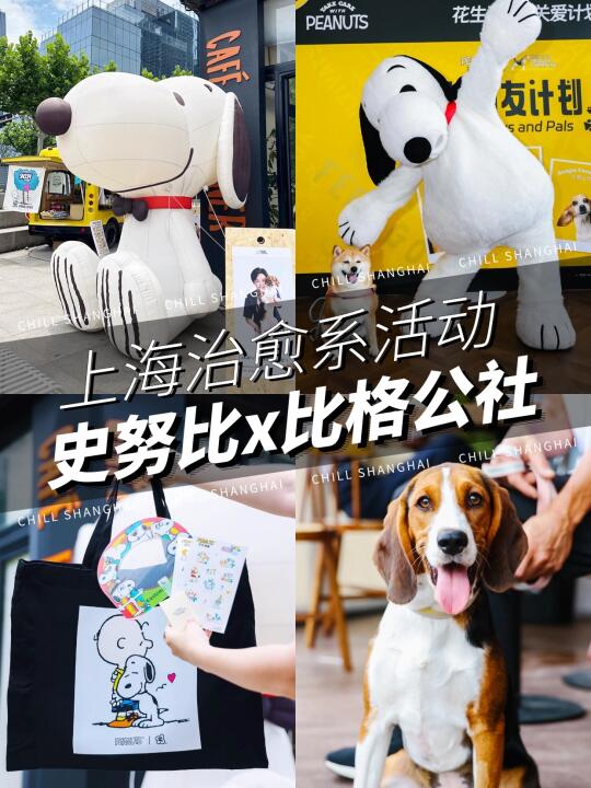 在西岸被治愈❗️史努比×比格犬活动太戳心❤️