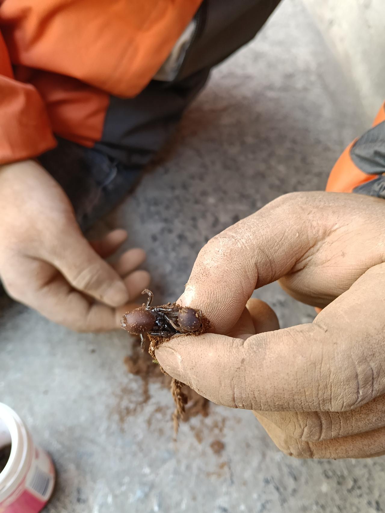 27岁女，我感觉我更年期提前了，最近老是爱发脾气，没来由的，不知道怎么了，去医院