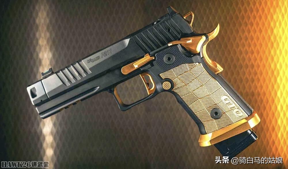 西格绍尔黄色经典'