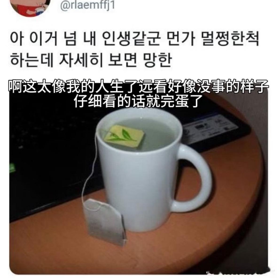 这太像我的人生了 ​​​