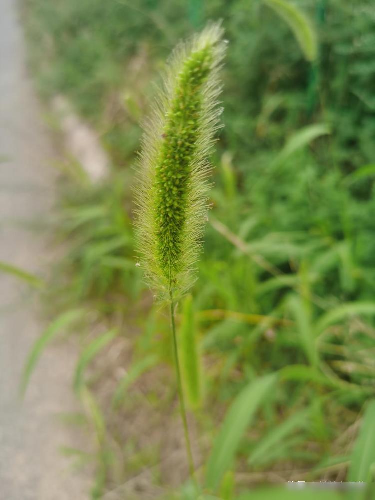 单位男女关系不正常，有以下几点，我才看明白了。

说实话我做HR十几年，见得多了