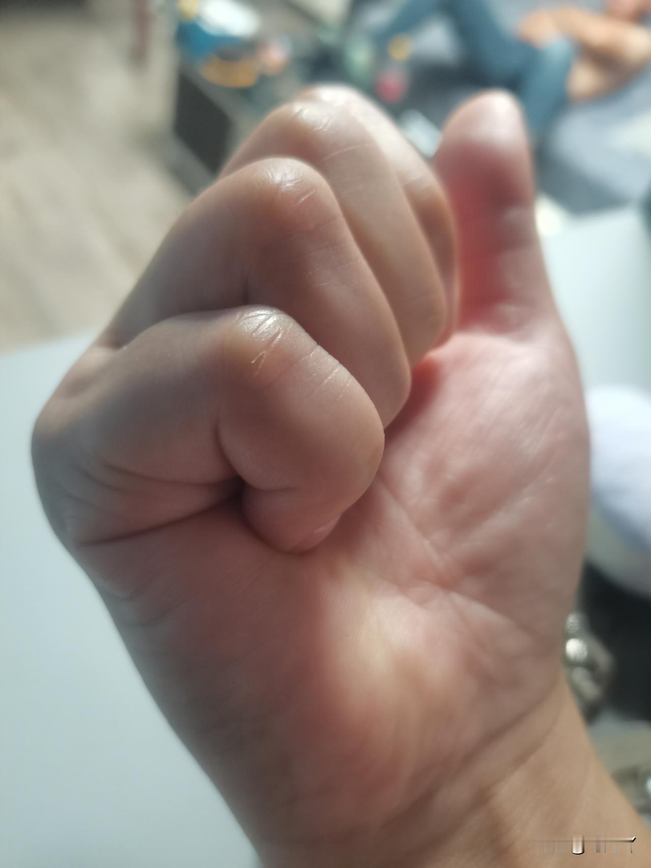 心软是病，情深致命。这句话不只是对人，更可以对任何宠物。

我不是被动养了一只猫