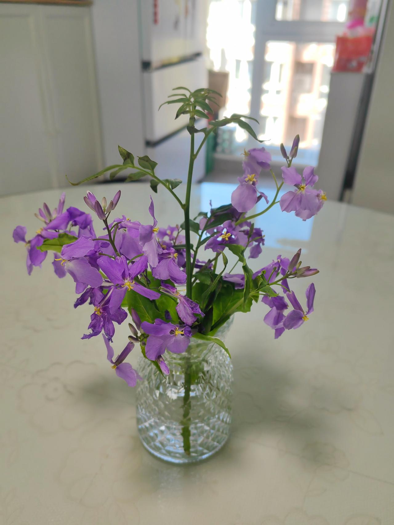 老公告诉我，他下周要参加为期一周的军转培训，还问我孩子该怎么安排。

昨晚，等两