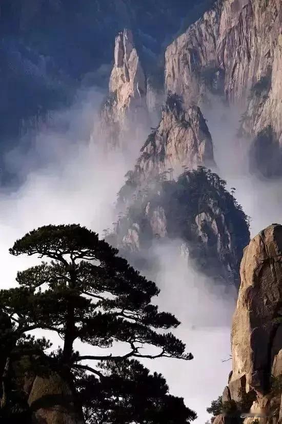 数据惊人：国人生育率断崖式下跌

当下青年结婚平均大概31岁，比以前结婚平均年龄
