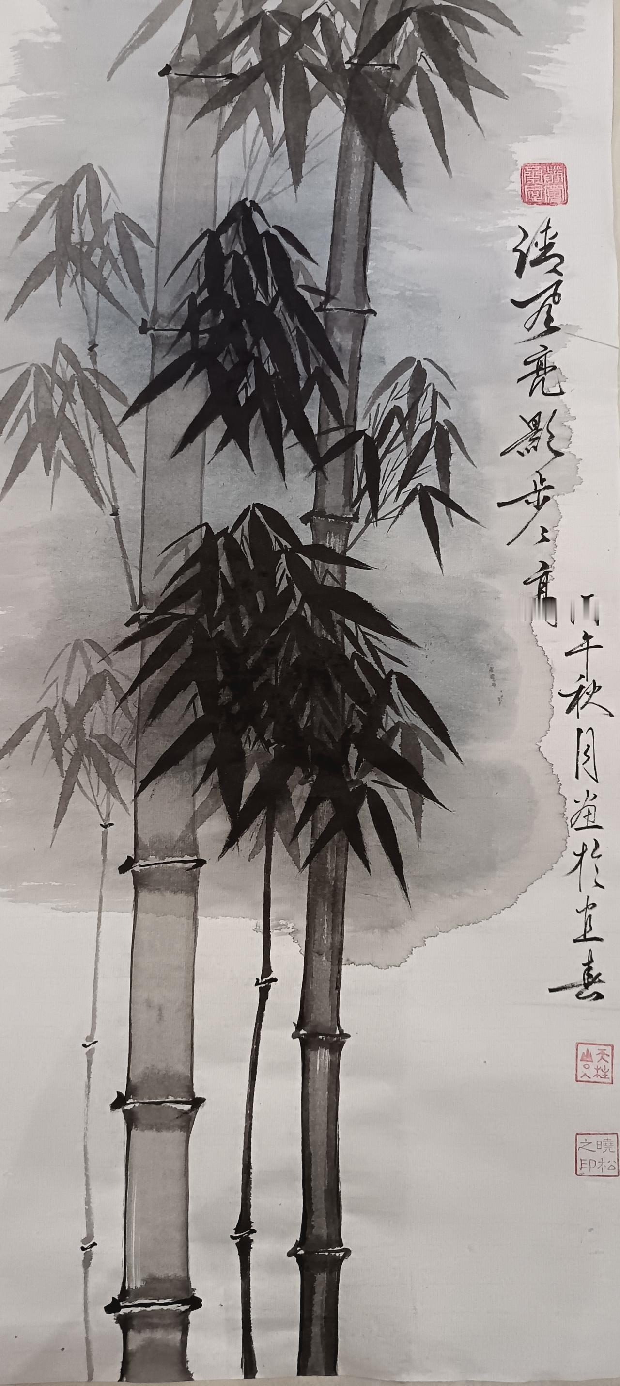 清風亮影步步高