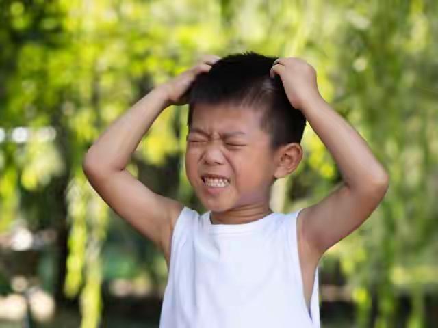 《你越骂，他越炸》：孩子不是脾气差，

作为一名深耕儿童心理领域8年的专业博主，