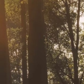 每日一善每日一善 🌞阳光信用 善念养善心，善心生善念。德不积不厚，善不行不成。