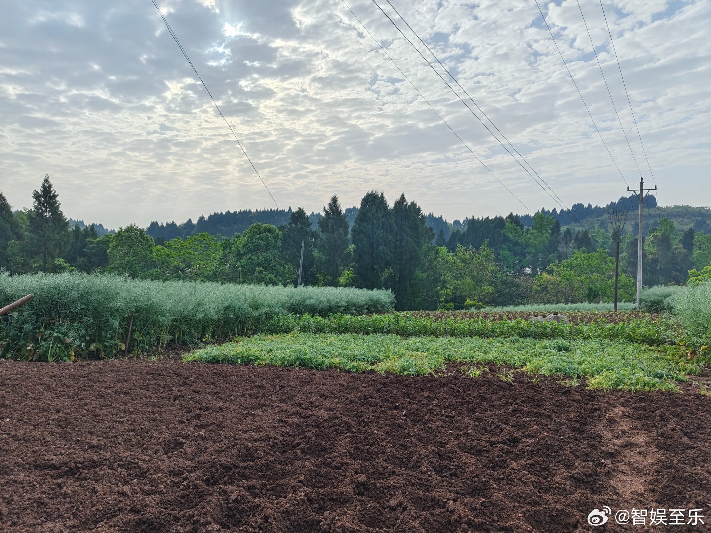 春播千颗种，秋收满天星！ 