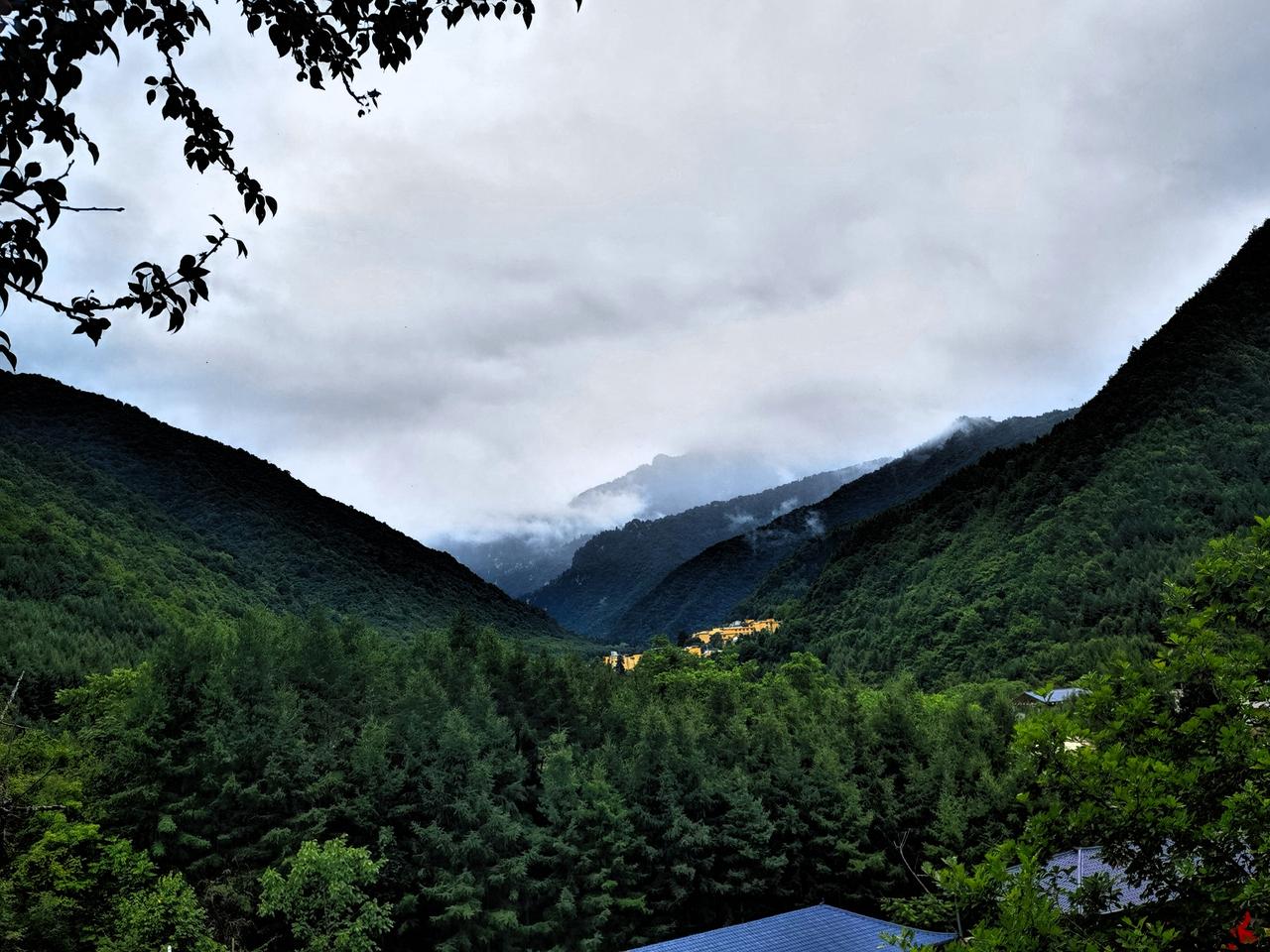 游官鹅沟遇雨
 
官鹅沟的细雨悠然绵长，时落时歇。迥异于蓉城骤雨疾风，来去仓促。