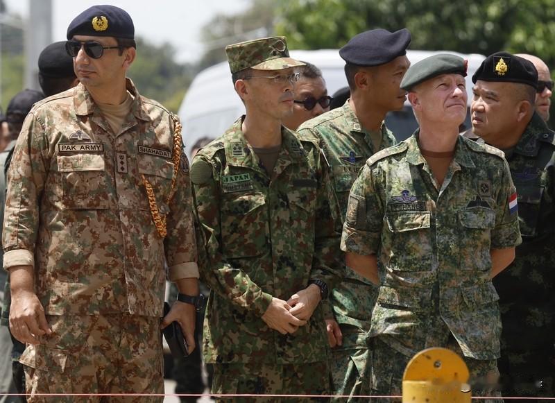 泰柬冲突中的军事实力对比，就像大象与藤蔓的较量。泰国如同大象，军队规模、装备数量