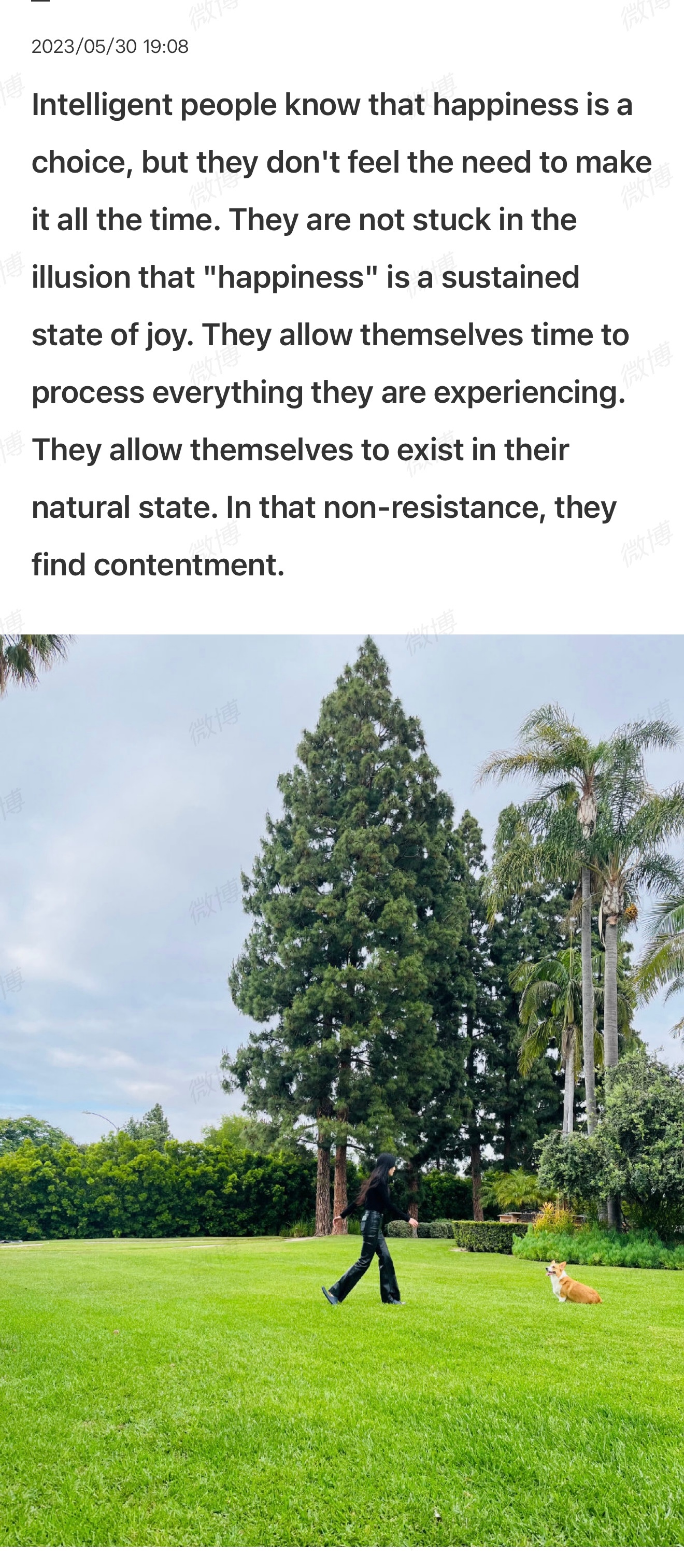 智者明白快乐是一种选择，却并不强求自己时刻做出选择。他们不沉溺于“快乐”即是持续