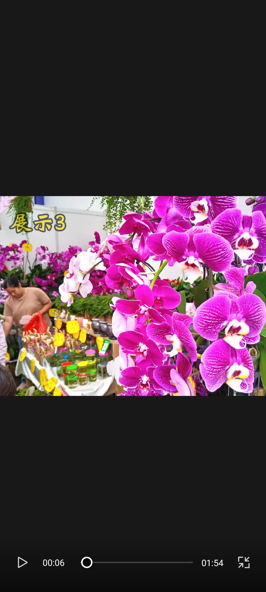 每日一花之三，彩蝶纷飞舞蹁跹蝶舞繁花香满径 蝶舞花枝俏 百花齐放蝴蝶忙 蝶舞花丛