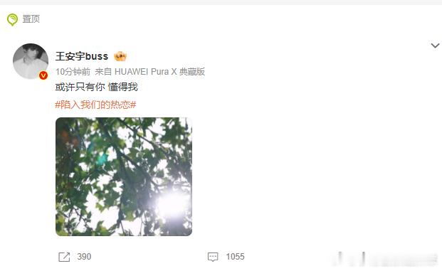 王安宇唱