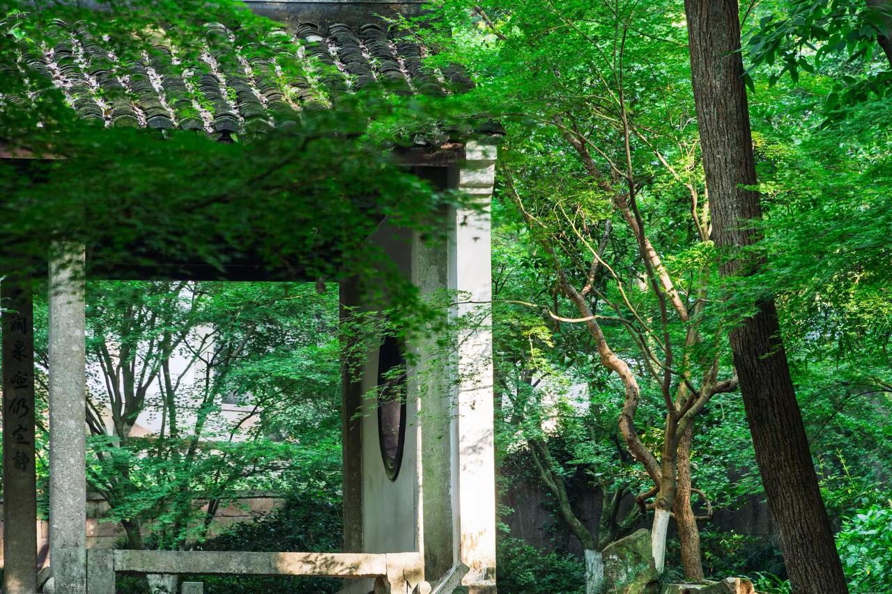 杭州虎跑公园。杭州虎跑公园园林独有的东方美学 邂逅江南园林的诗意 中式园林之美学