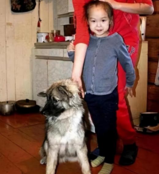 2014年，俄罗斯3岁女孩和宠物狗一起失踪在寒冷的西伯利亚大森林里，11天后，身