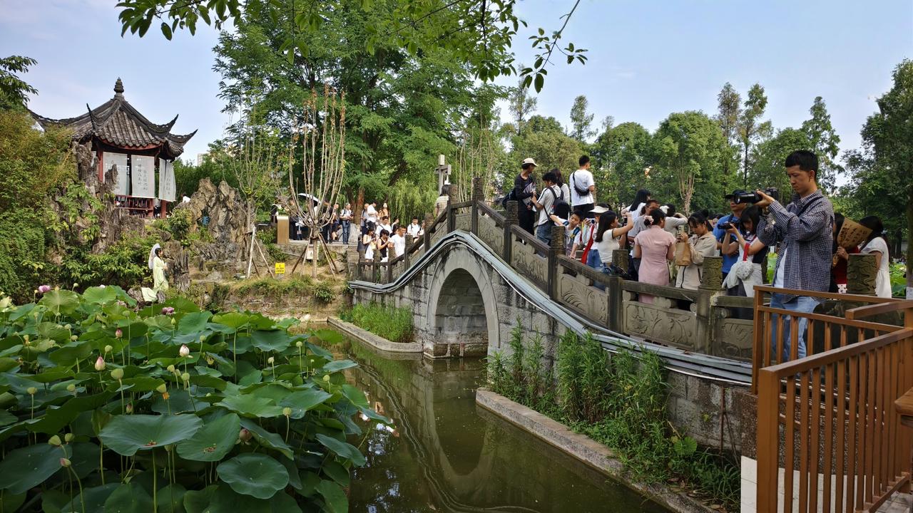 成都文化公园赏荷，愿美好“荷”你相遇，好运“莲莲”

六月初夏，成都文化公园荷花