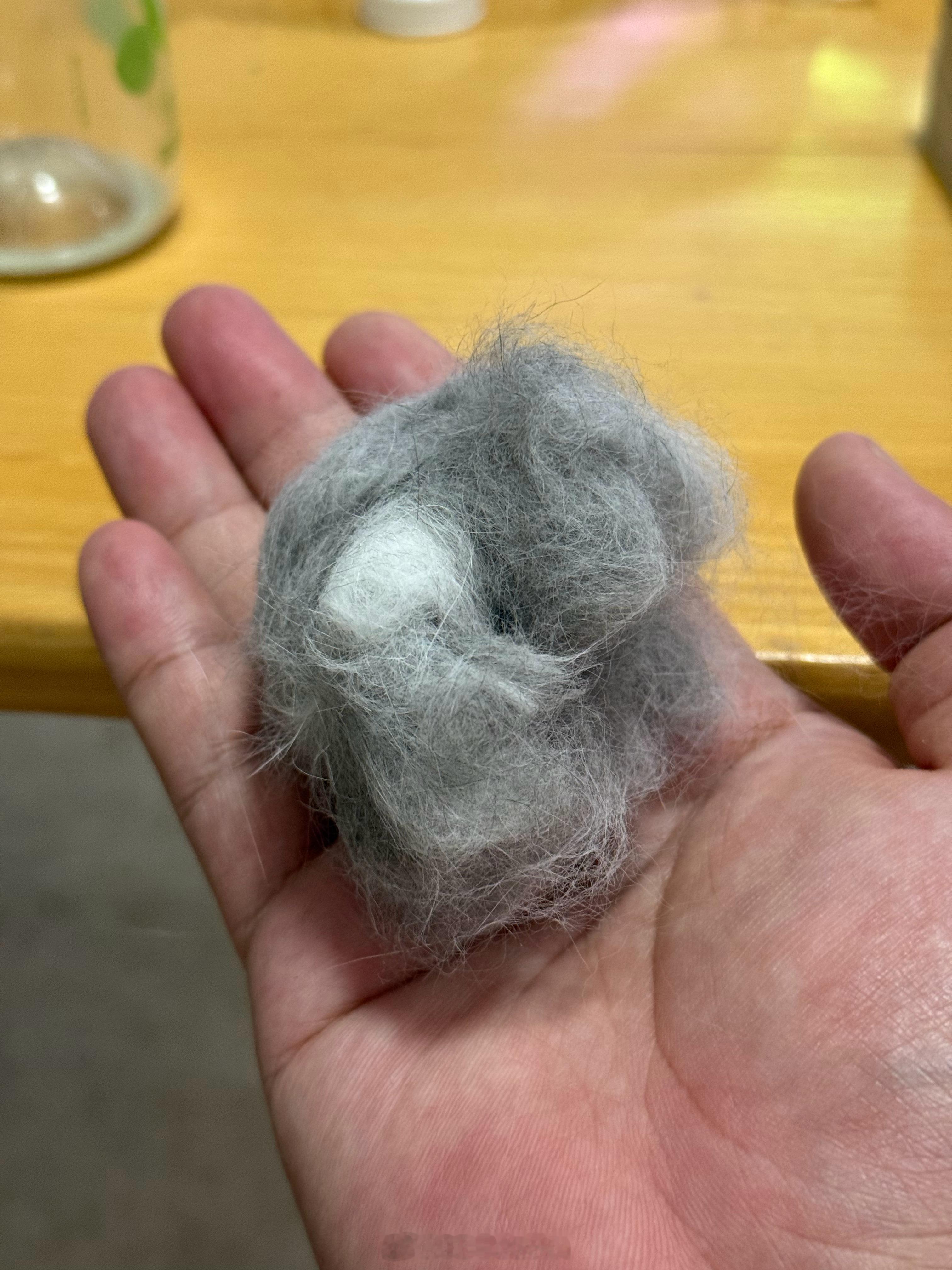 猫怎么能梳下来这么多毛。 ​​​