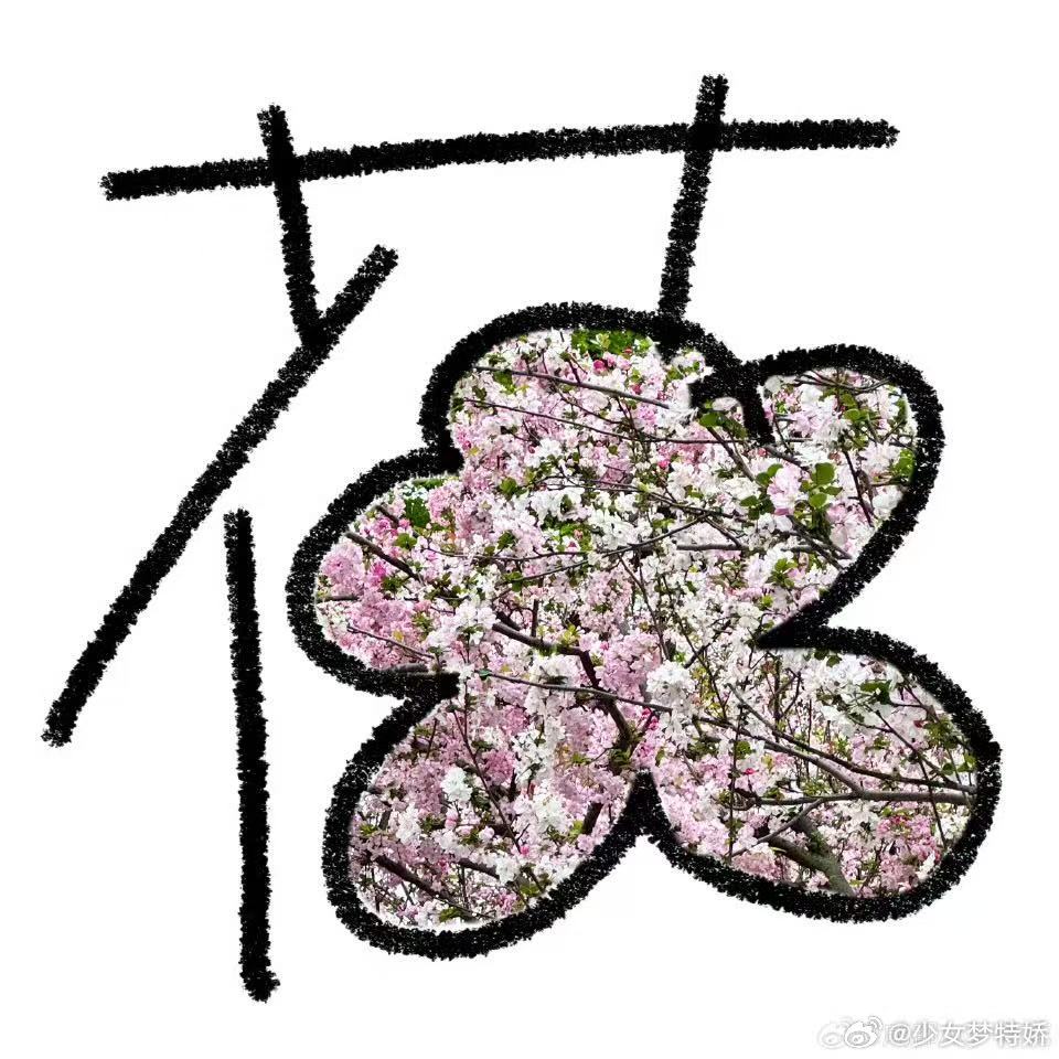 花花花式晒花花春天的浪漫，被AG花花一手拿捏。带着满屏的春日繁花，把温柔与美好全