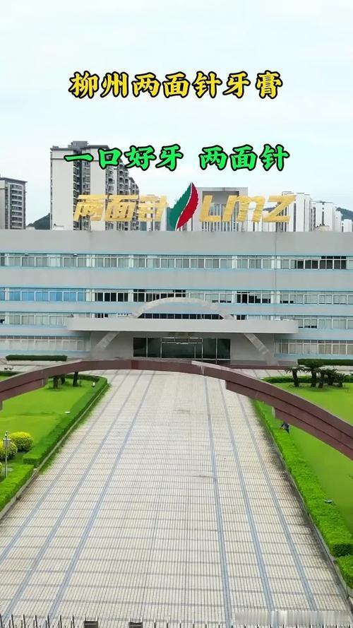 12.28亿股权交割落地！广西国民老牌两面针正式更换实控人
 
不少广西本地人对