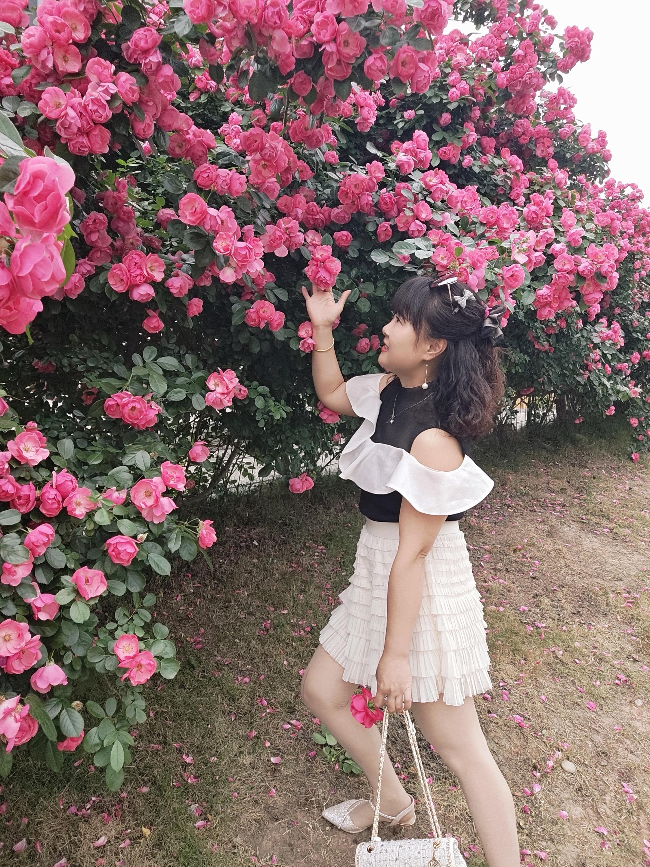 做个快乐的中年少女，看淡所有的人和事，生活是自己的，尽情的捯饬。尽情的...