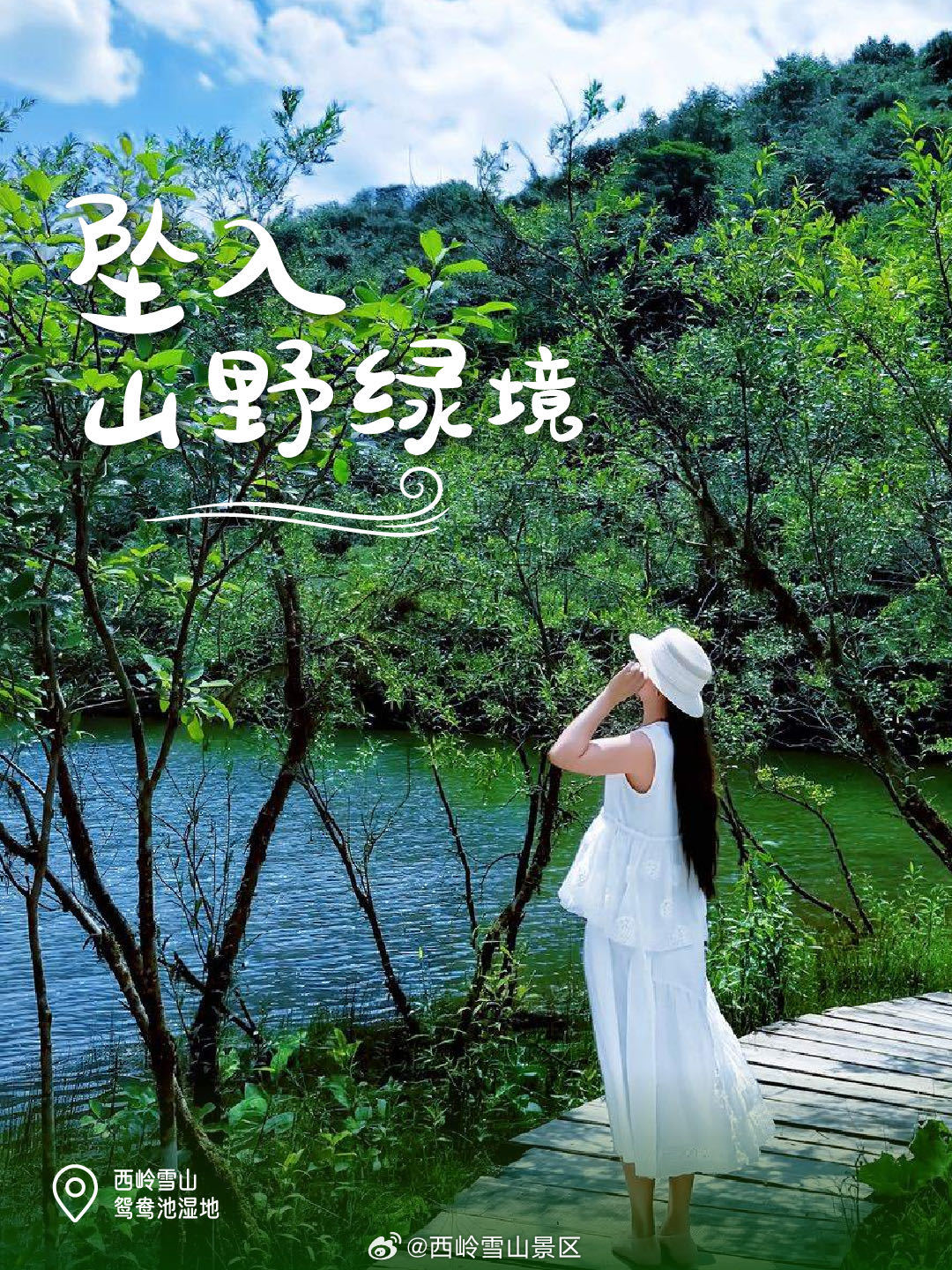 成都周边一日游🌿西岭雪山夏天也是王炸！谁还只冬天冲西岭雪山！！夏日绿意氛围感拉