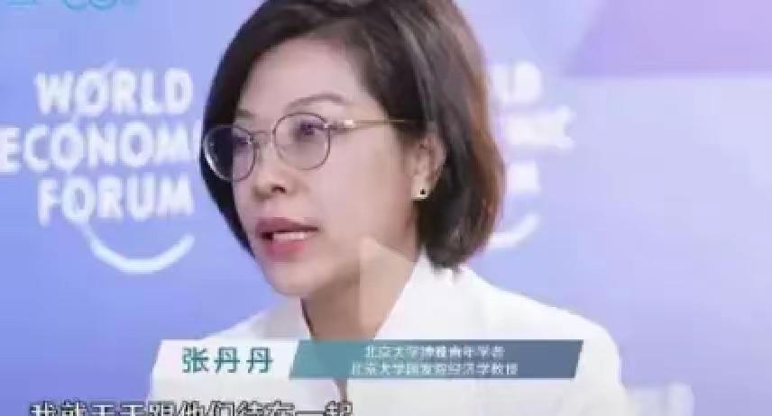 这份方案送到张主任桌上时，铜版纸还泛着光，李教授的名字印在封面右下角，课题编号清
